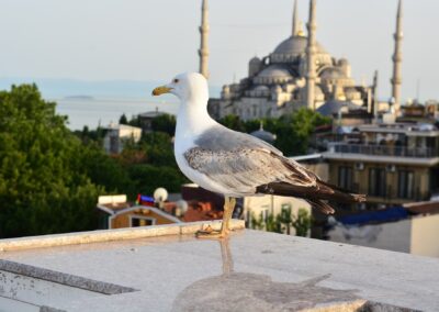 ISTANBUL blog