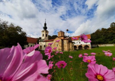 BELA CRKVA, manastir MESIĆ, VRŠAC - Barok i vino